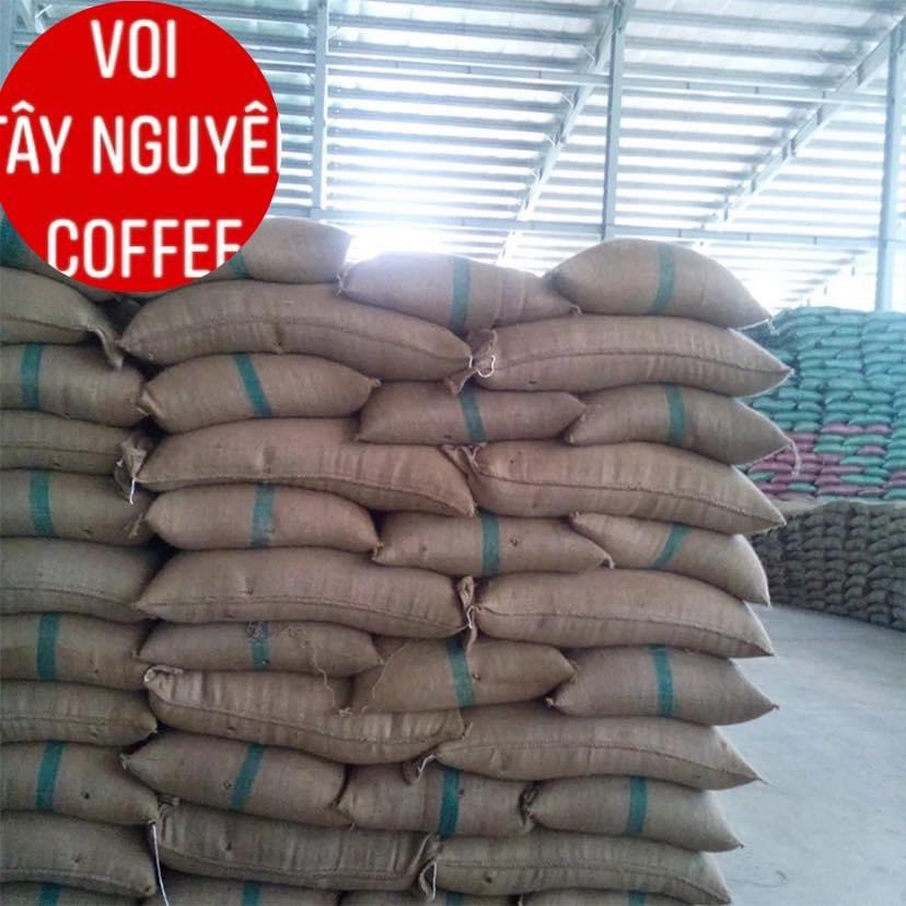 Nguồn nguyên liêu dồi dào