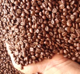 Cà phê Robusta.chế biến ướt.