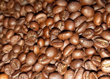 CUNG CẤP CAPHE HẠT CÁC LOẠI