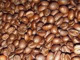 CUNG CẤP CAPHE HẠT CÁC LOẠI